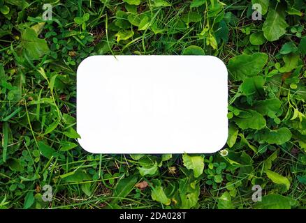 Vista dall'alto di cartone vuoto rettangolare su foglie verdi, mockup, spazio di copia. Concetto per zero rifiuti, riciclo ecologico Foto Stock