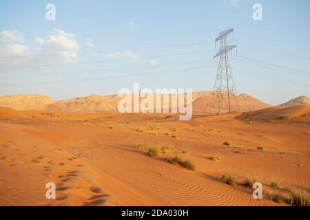 Albero di potenza nel deserto. Alcune montagne sullo sfondo. All'aperto Foto Stock