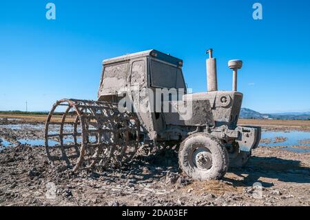 Trattore per la coltivazione del riso coperto di fango, delta dell'Ebro, Tarragona, Catalogna, Spagna Foto Stock