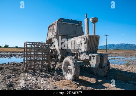 Trattore per la coltivazione del riso coperto di fango, delta dell'Ebro, Tarragona, Catalogna, Spagna Foto Stock