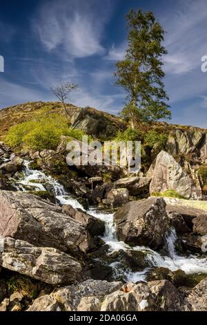 Un piccolo ruscello che scorre attraverso terreni rocciosi montani (Ogwen Valley, Galles) Foto Stock