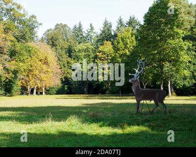 Stag al parco picnic Lynford Stag, Thetford Forest, Norfolk, Regno Unito Foto Stock