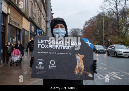 Glasgow, Scozia, Regno Unito. 8 Novembre 2020. Un protester di caccia della volpe che tiene un segno che dice Let's Really Ban Foxhunting. Credito: SKULLY/Alamy Live News Foto Stock