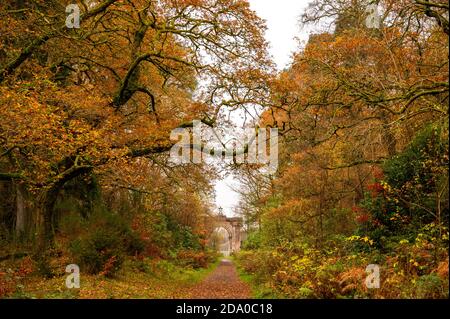 Autunno su Loch Lomond, Scozia, Regno Unito Foto Stock