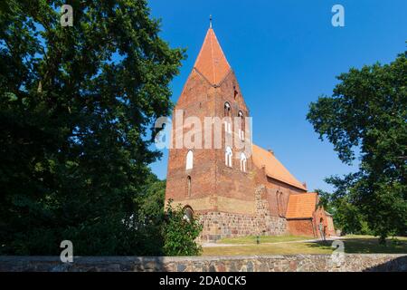 Rerik: chiesa Rerik, Ostsee (Mar Baltico), Meclemburgo-Vorpommern, Germania Foto Stock