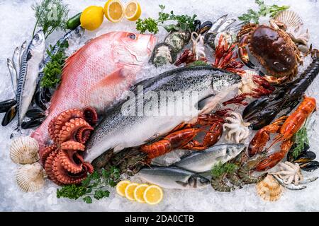 Vista dall'alto, varietà di pesce fresco di lusso, aragosta salmone sgombro gamberi polpo di gamberi muschio rosso capesante e granchio di pietra, su fondo ghiacciato Foto Stock