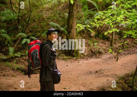 Contenuto turistico femminile con zaino in piedi in legno e godere Incredibile scenario di grandi alberi nel Monte Cabezon Monumento Naturale Di sequoie Foto Stock