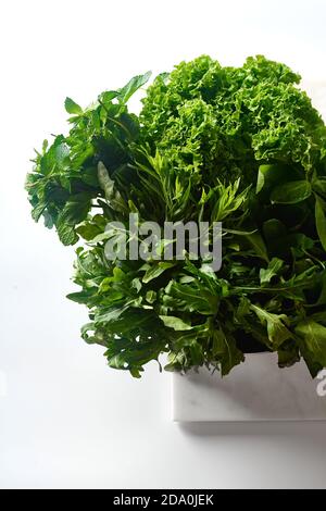 Varie erbe e lattuga in una ciotola su sfondo bianco Foto Stock