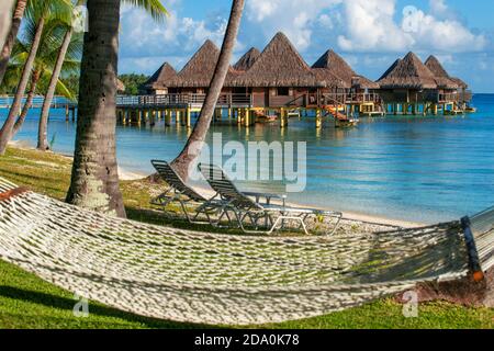 Amaca sotto gli alberi di cocco presso Hotel di lusso Kia Ora Resort & Spa su Rangiroa, isole Tuamotu, Polinesia francese. Foto Stock