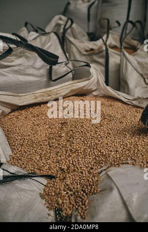 molti sacchetti con semi di grano fresco immagazzinati in deposito in stabilimento di fabbrica Foto Stock