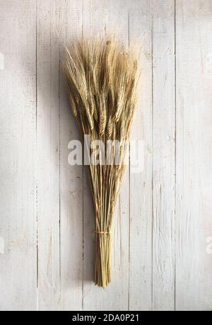 Dall'alto di bouquet di punte di grano essiccato legate con corda posta su sfondo di legno chiaro Foto Stock