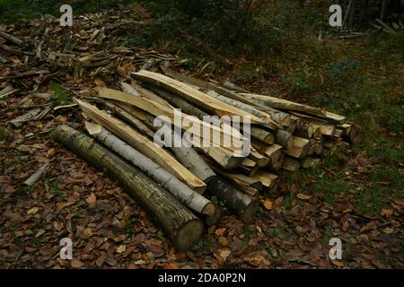 Un mucchio di pali di recinzione di castagno. Foto Stock