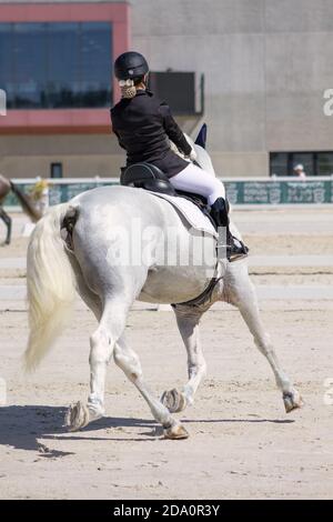 Vista posteriore del puro cavallo andaluso bianco trotting in un dressage contest con giovane pilota sulla sua schiena. Foto Stock