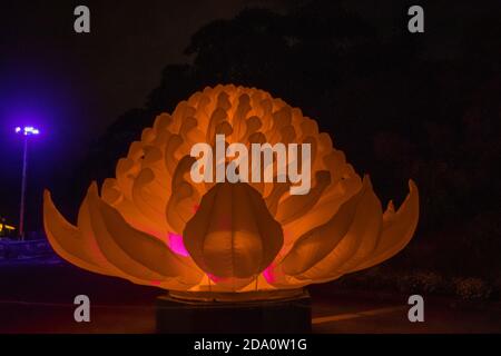 Paesaggio urbano panoramico notturno da Sidney il 2019 febbraio Foto Stock