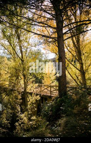 Pittoresco scenario di colorata foresta autunnale e vecchio ponte pedonale in legno tra gli alberi in tempo soleggiato Foto Stock