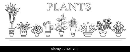 Figura vettoriale fiori e piante, succulenti in vasi in linea stile. Illustrazione Vettoriale