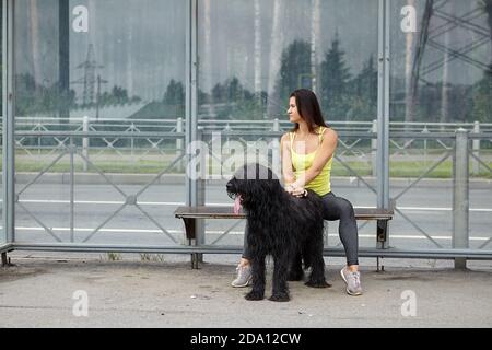 Cane nero e donna proprietario attendere per il tram sulla stazione dei trasporti pubblici. Foto Stock