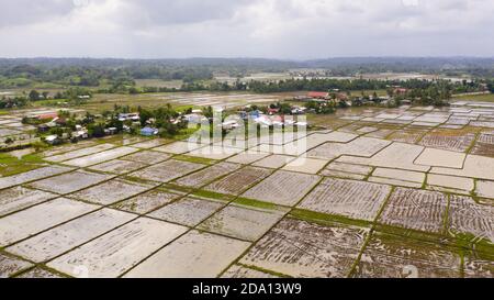 Villaggio filippino e campi di riso inondati di acqua. Paesaggio con terreno agricolo, vista dall'alto. Campi di riso sono pronti per piantare riso. Foto Stock