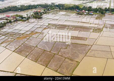 Villaggio filippino e campi di riso inondati di acqua. Paesaggio con terreno agricolo, vista dall'alto. Campi di riso sono pronti per piantare riso. Foto Stock