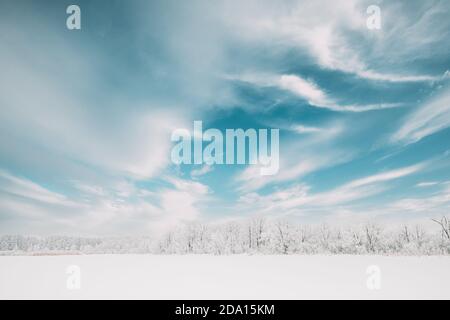 Snow Covered Forest. Frosted Trees Frozen Trunks Woods In Winter Snowy Forest Landscape. Altered Sky Foto Stock