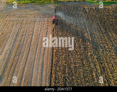 La vista aerea del trattore aratura il campo autunno in serata al tramonto. Foto Stock