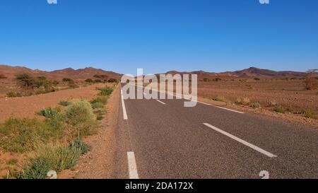 Strada lastricata solitaria che conduce attraverso il paesaggio arido del deserto nel sud del Marocco, Africa con vegetazione scarsa (cespugli e alberi) e montagne. Foto Stock