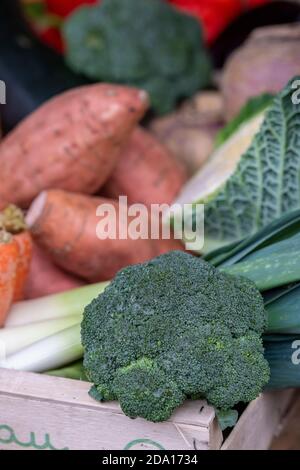 una selezione di verdure fresche, compresi i broccoli, in vendita su uno stallo del mercato dei fruttiveri. Foto Stock