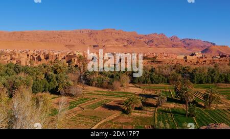 Oasi verde con campi e palme da dattero nelle montagne Altas meridionali nella città berbera Tinghir, Marocco con edifici storici in lombo. Foto Stock