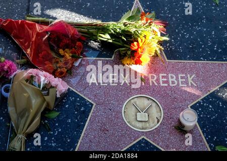 Los Angeles, California, Stati Uniti. 8 Nov 2020. I fiori sono collocati presso la stella di Alex Trebek sulla Hollywood Walk of Fame, domenica 8 novembre 2020, a Los Angeles. L'ospite di ''Jeopardy'' Alex Trebek, che ha combattuto il cancro pancreatico negli ultimi due anni, è morto oggi a Los Angeles all'età di 80 anni. Credit: Ringo Chiu/ZUMA Wire/Alamy Live News Foto Stock