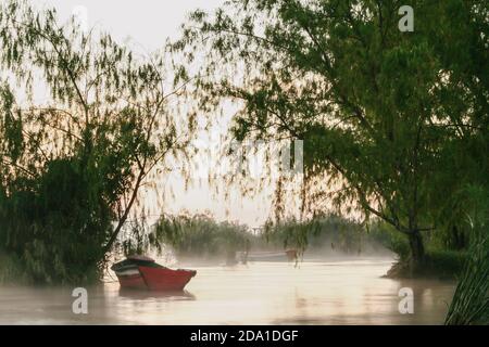 Aregua, Paraguay. 26 febbraio 2006. Canottaggio in legno legato ad alberi su isolotto al lago circondato da vegetazione verde, come salici, al mattino presto d'estate con una nebbia leggera che si erge dalle acque calme del Lago Ypacarai, ad Aregua, capitale del Dipartimento Centrale, Paraguay. Foto Stock