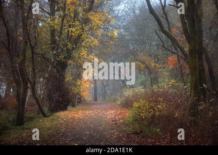 Sentiero autunnale nel parco. Polkemmet Country Park, West Lothian, Scozia. Foto Stock