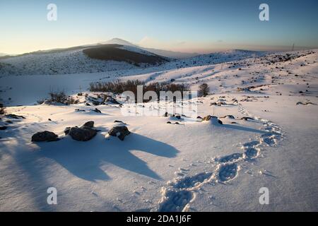 Tracce di escursionista con le ciaspole sulla neve in inverno Nebrodi Park, Sicilia Foto Stock