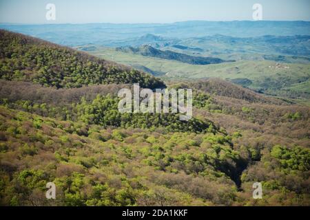 Vista alta sui monti Nebrodi, alberi coperti, Sicilia Foto Stock