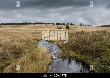 Casa isolata accanto al fiume Rolava nella riserva naturale di Přebuz, repubblica Ceca Foto Stock