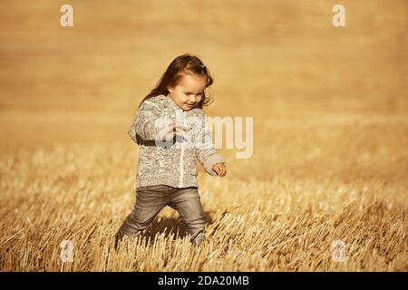 Felice ragazza di due anni in maglia felpa con cappuccio camminare in estate campo raccolto Foto Stock