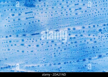 Azzurro sfondo astratto acquerello. Punti e gocce colorati. Foto Stock