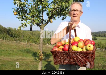 Leuba, Germania. 21 Settembre 2020. Michael Schlitt, fondatore della Fondazione Oberlausitz, porta un cesto pieno di mele mature di varietà rare. Da quasi 15 anni, una delle più grandi collezioni di varietà storiche di frutta in Germania è stata creata qui sotto l'ombrello della Fondazione Lusaziana superiore (a dpa 'Cavour di vecchie varietà di frutta - 'Giardino di prelibatezze dimenticate'). Credit: Miriam Schönbach/dpa-Zentralbild/dpa/Alamy Live News Foto Stock