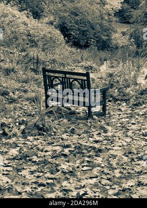 Paesaggio bianco e nero di sedia da giardino, giardini di Englfield House, Thale, Reading, Berkshire, Inghilterra, Regno Unito, GB. Foto Stock
