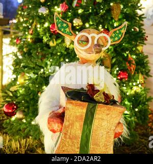 Figurine volpe con un regalo di vicino all'albero di Natale, decorazione per il nuovo anno. Composizione natalizia a Mosca in piazza Manezhnaya - Mosca, Russi Foto Stock