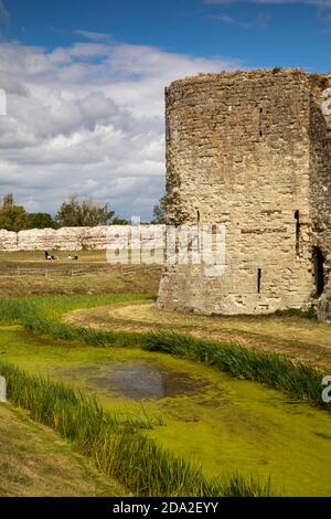 Regno Unito, Inghilterra, East Sussex, Pevensey, Castello Normanno, costruito sul sito del forte romano Foto Stock