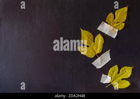 Sfondo creativo multitasking con foglie cadenti e nastro a condotto su sfondo nero. Tre lembi fissati con nastro adesivo su fondo testurizzato pieno Foto Stock