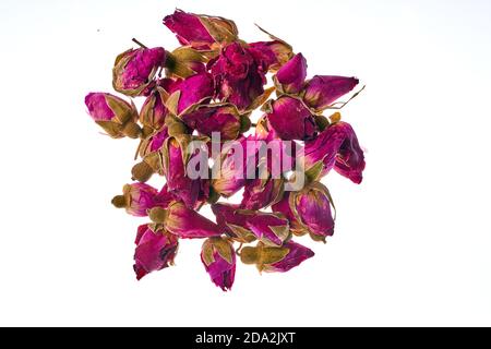 Asciugare le gemme della rosa alpina isolato su bianco sfondo Foto Stock