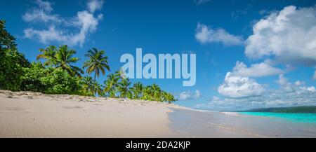 Vista panoramica sulla spiaggia con palme sull'Isola dei Caraibi. Foto Stock