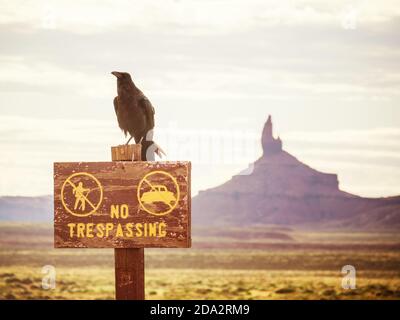 Primo piano di un corvo seduto su un cartello sullo sfondo di Oljato-Monument Valley in Arizona, USA Foto Stock