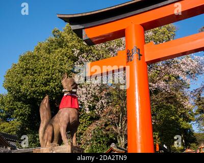 Foto a basso angolo del Santuario di Fushimi Inari a Kyoto, Giappone Foto Stock