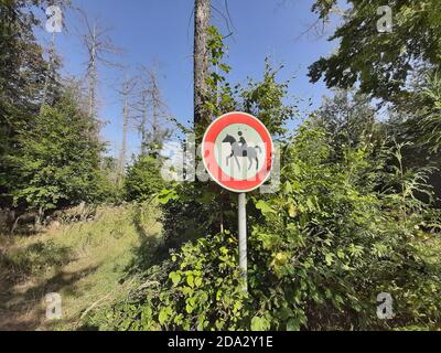 Cartello 'equitazione vietata' nella foresta, in Germania Foto Stock