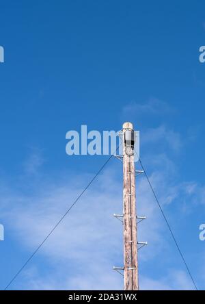 Un unico palo per telegrafo con fili di supporto su sfondo blu. Foto Stock