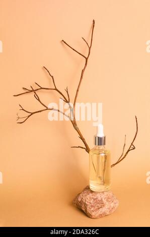 Siero o olio essenziale cosmetico in bottiglia di vetro con una pipetta sul podio di pietra su sfondo beige con ramo di albero. Vista frontale Foto Stock