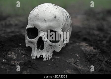 Cranio umano giace a terra. Primo piano. Foto Stock