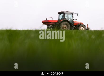 Trattore che sparge fertilizzanti artificiali. Trasporti, agricoli. Foto Stock